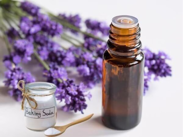 Ingredients for a DIY natural pet deodorizer: a small jar of baking soda, a spoon, and a brown essential oil bottle, with fresh lavender sprigs in the background.