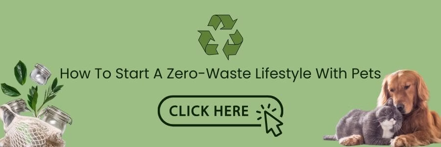 Graphic with a dog cuddling a cat, surrounded by glass jars and reusable items, with a call-to-action button that reads "Click Here."